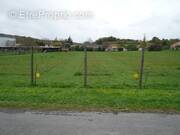 Terrain à SAINT-LAURENT-DE-COGNAC