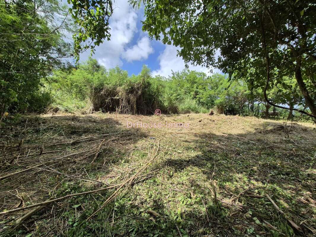Terrain à LE VAUCLIN