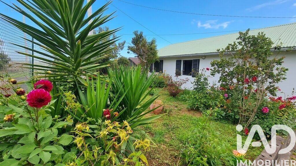 Photo 1 - Maison à SAINT-PIERRE