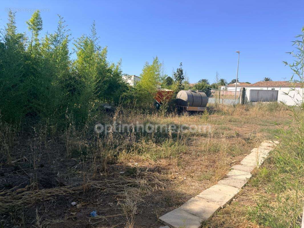 Exclusivité – ensemble immobilier sur parcelle agricole : maison de plain-pied & hangar - photo 3