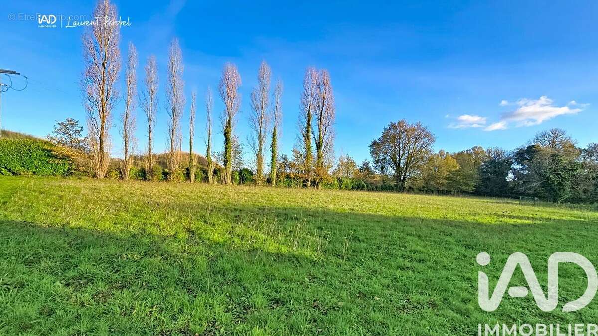 Photo 3 - Terrain à ALLAIRE