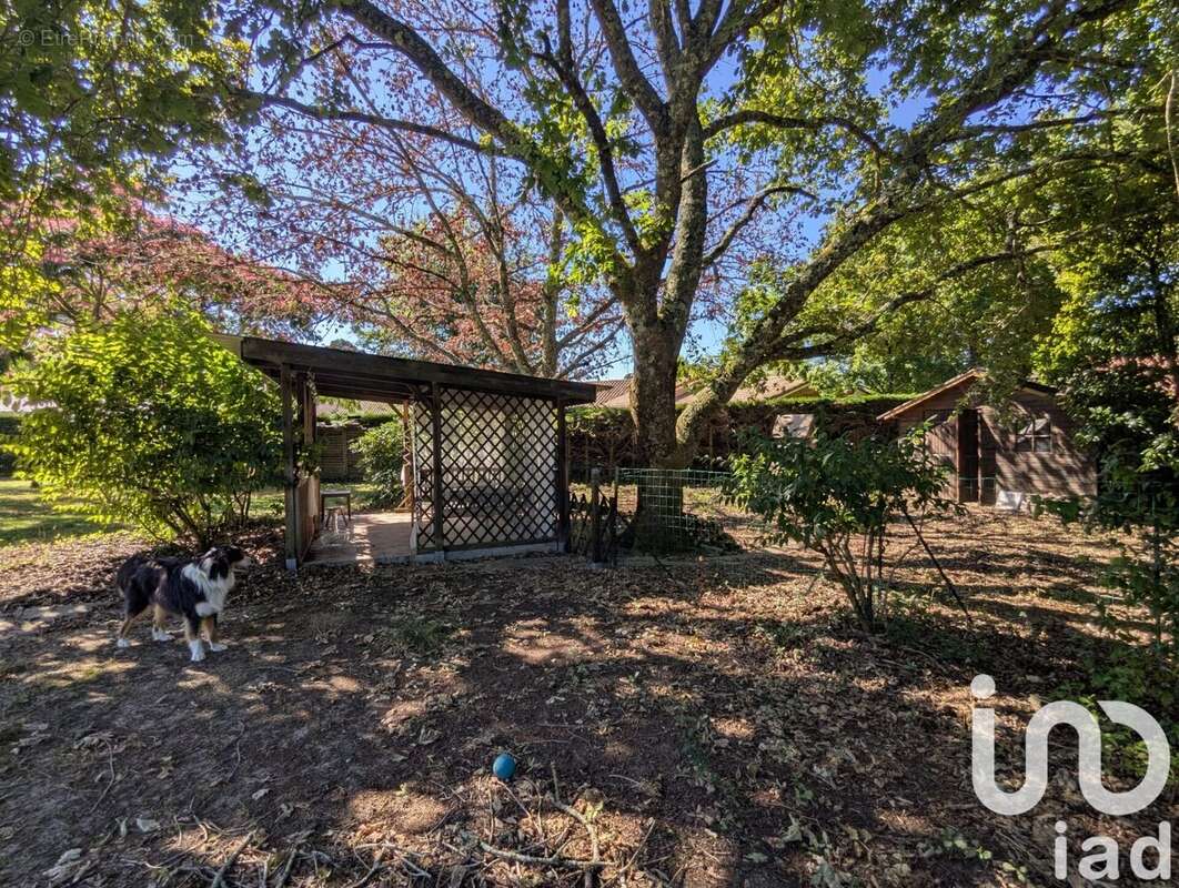 Photo 9 - Maison à MONT-DE-MARSAN