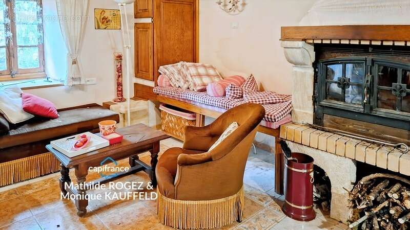 Grande demeure de charme + gîte + grand terrain - Tours-sur-Meymont - photo 12