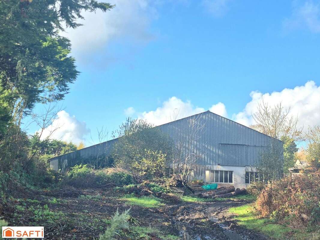 Photo 3 - Appartement à SAINT-VOUGAY