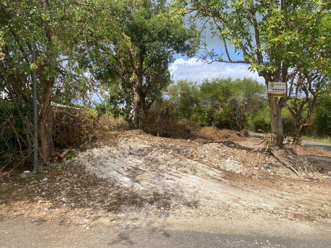 Terrain à SAINT-FRANCOIS