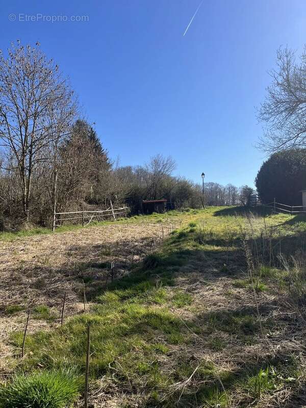 Terrain à RAIZEUX