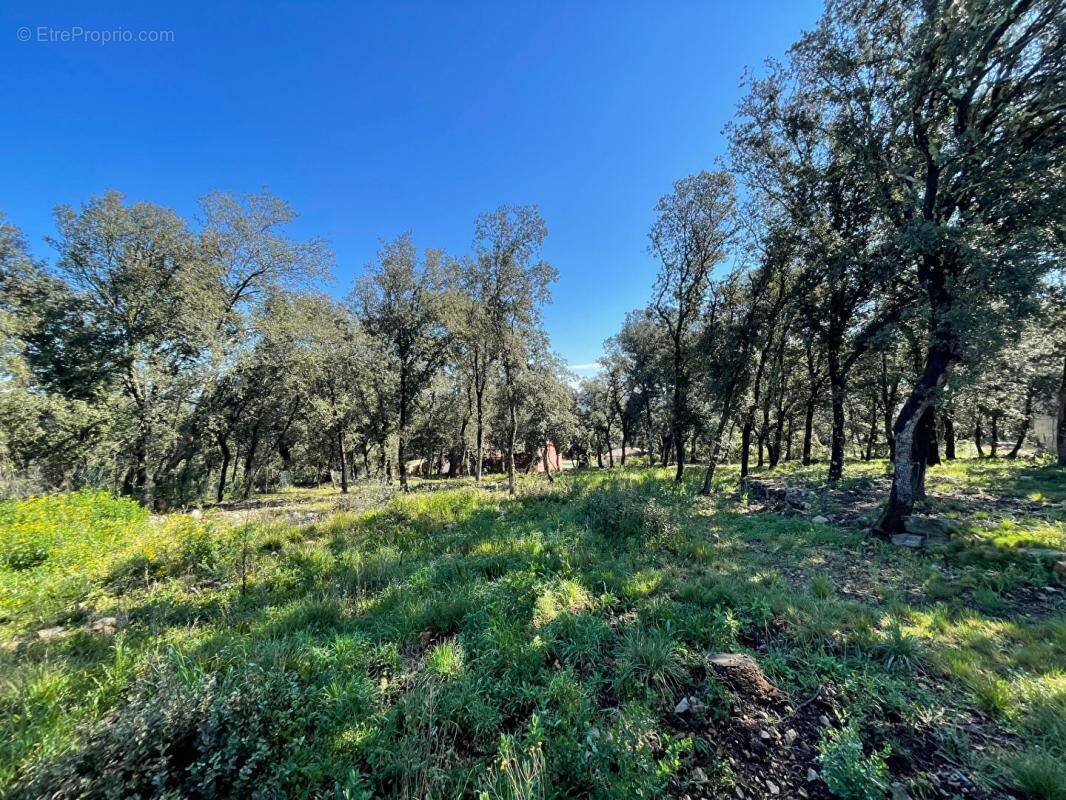 Terrain à LE THORONET