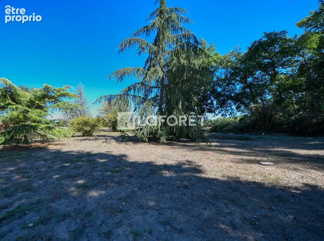Maison avec sous sol complet a vendre a 6 minutes du centre de lisle-sur-tarn - photo 9