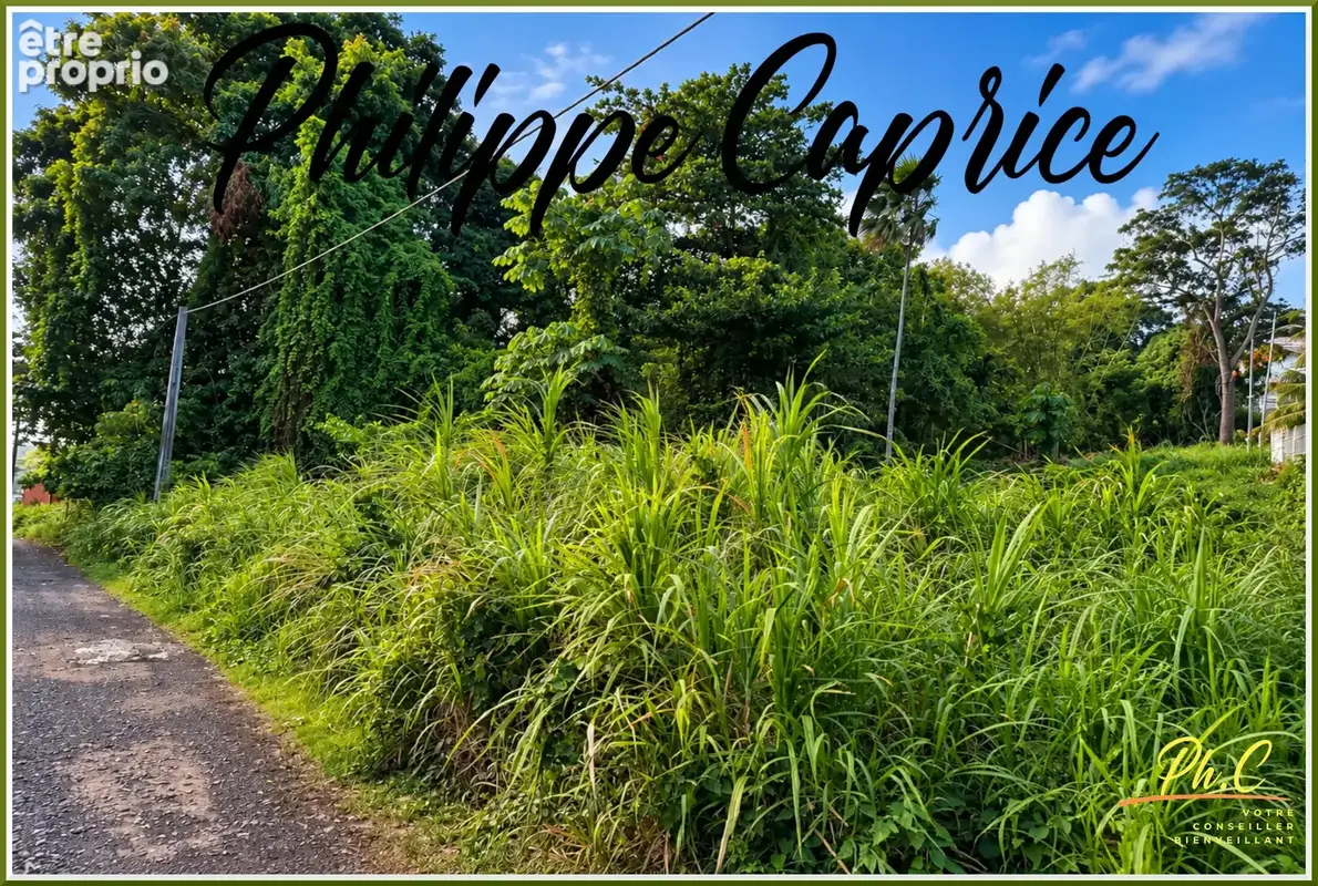 Terrain 2 370 m² – Dumaine – Le François – Zone U5 - photo 2
