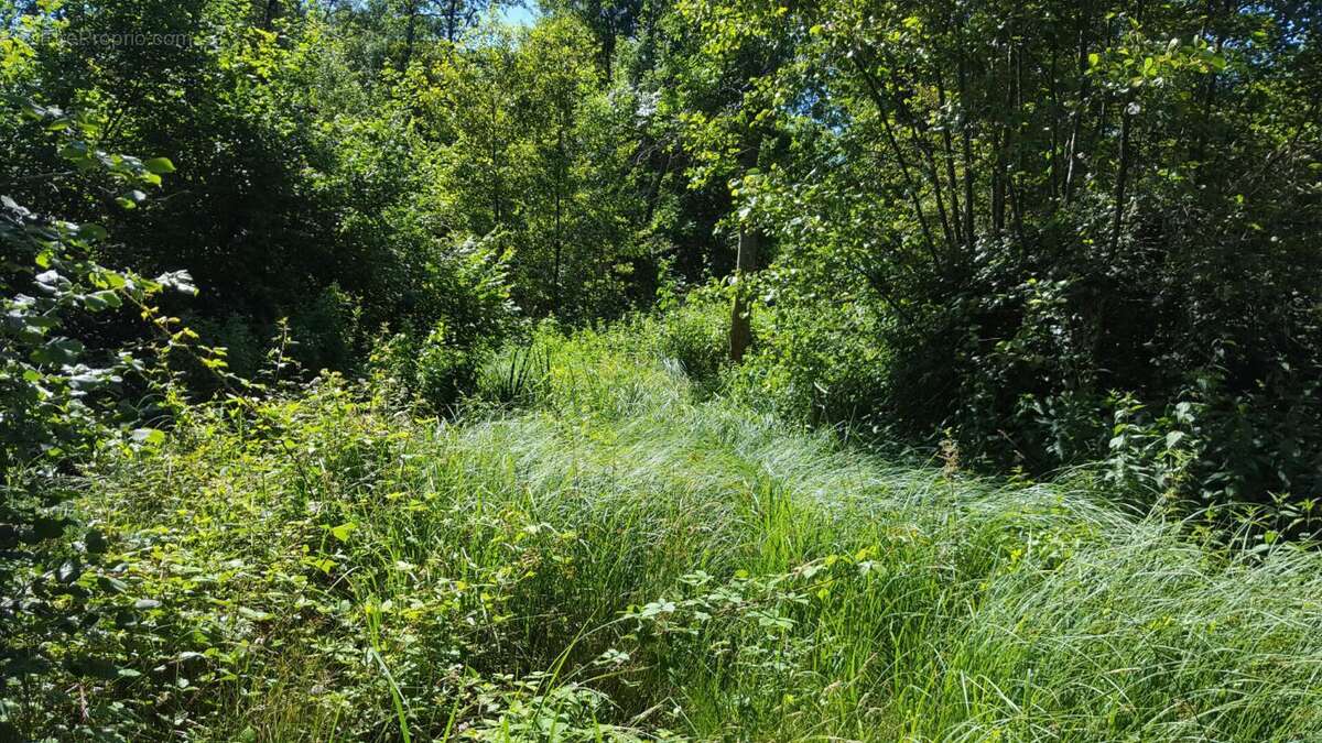 Maison à BRINON-SUR-SAULDRE