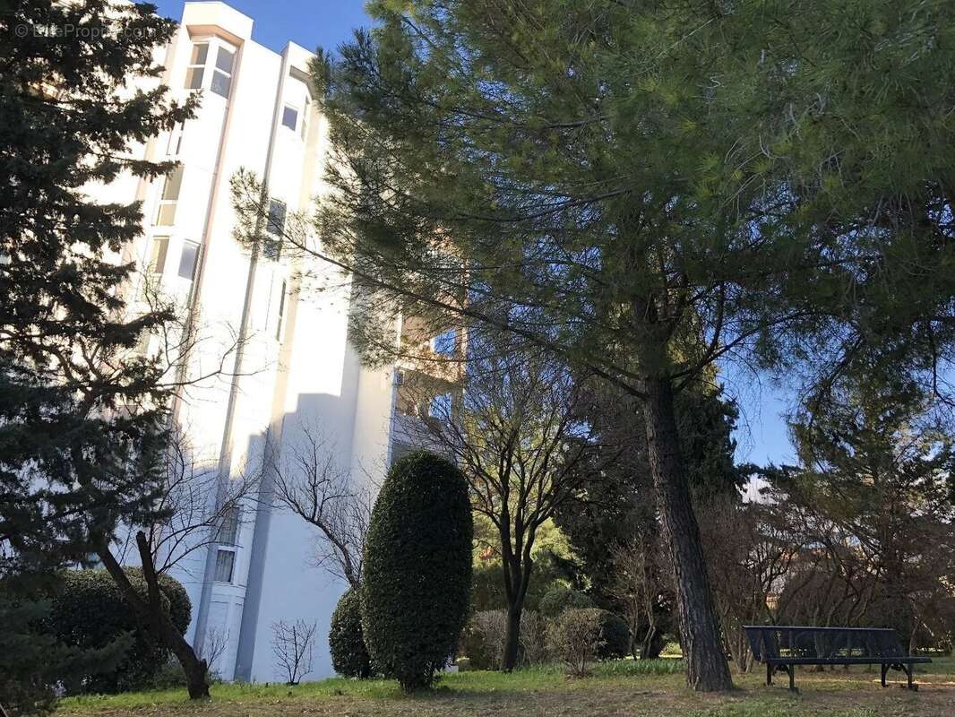 4 pieces proche parc montcalm - photo 10