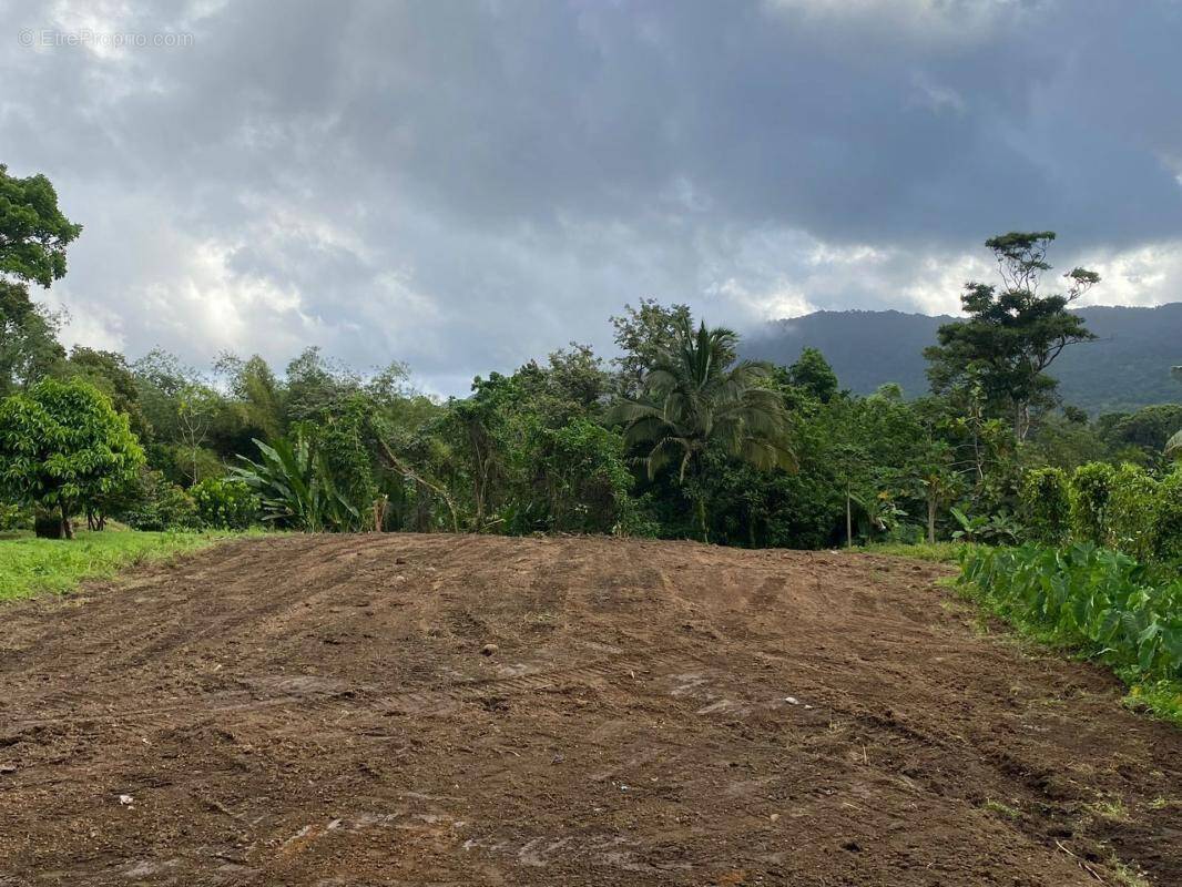 Terrain à LE MORNE-ROUGE