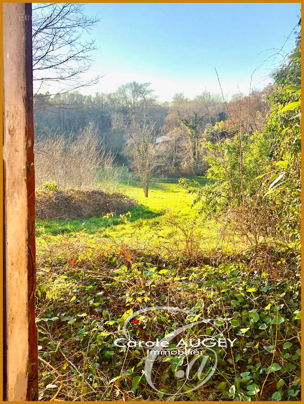 Maison à SAINT-LEGER-DE-BALSON