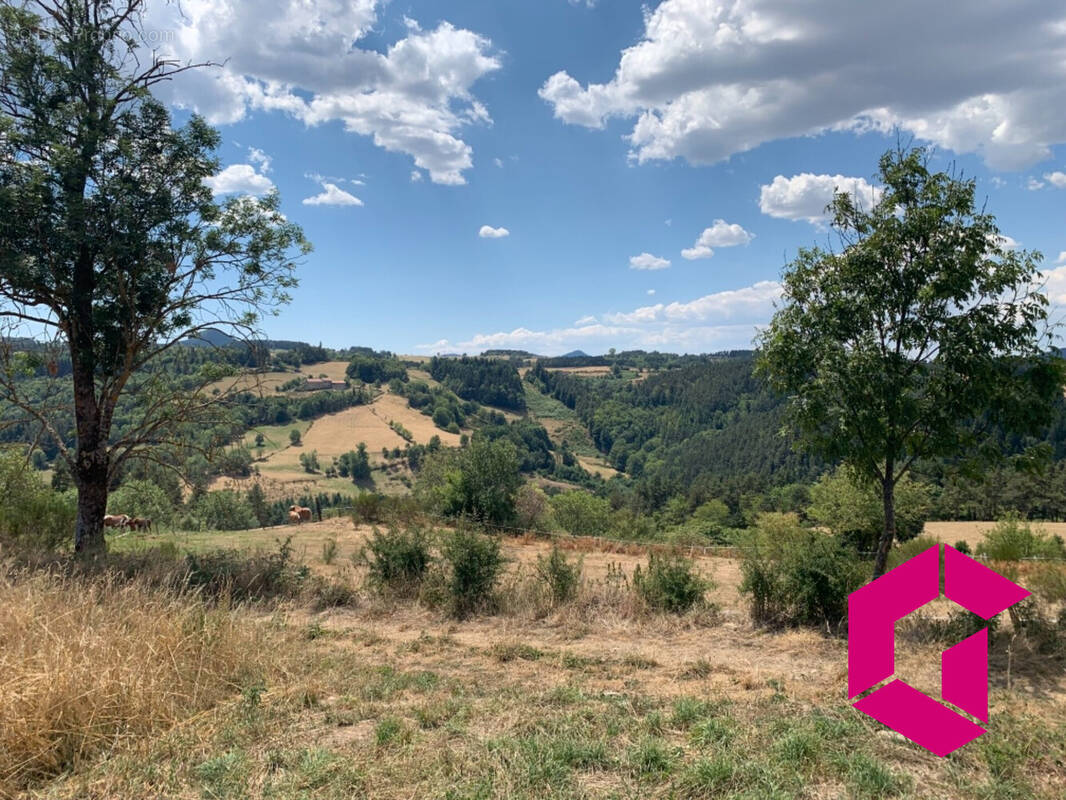 Terrain à YSSINGEAUX