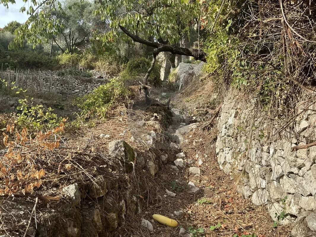Terrain à GORBIO