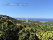 Terrain à MONTICELLO