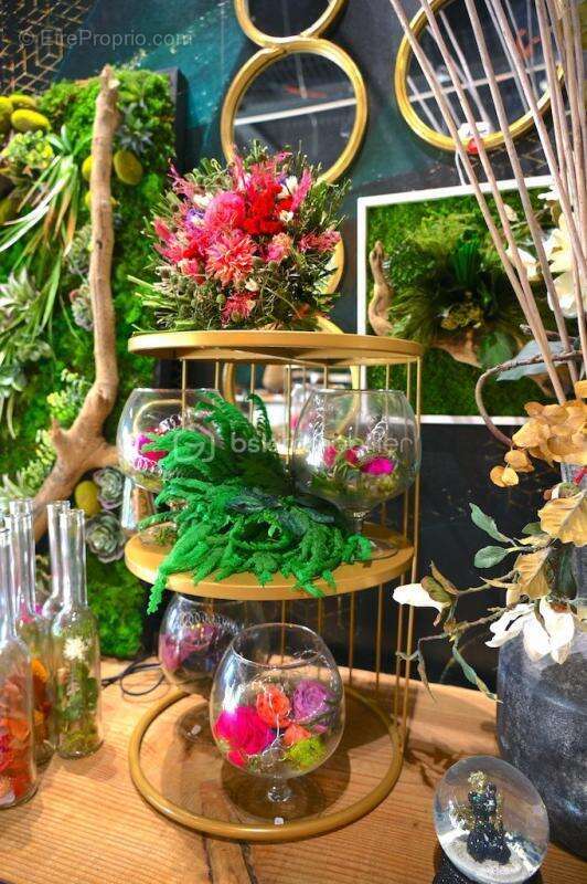 Commerce à SAINT-LAURENT-DES-ARBRES