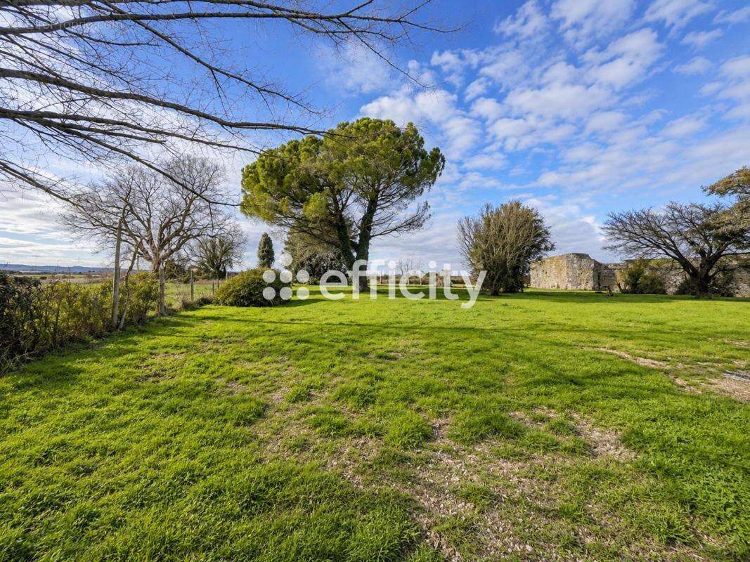 Maison 9 pièces 354 m² à vendre à Saint-Ciers-Du-Taillon (17240) - photo 18