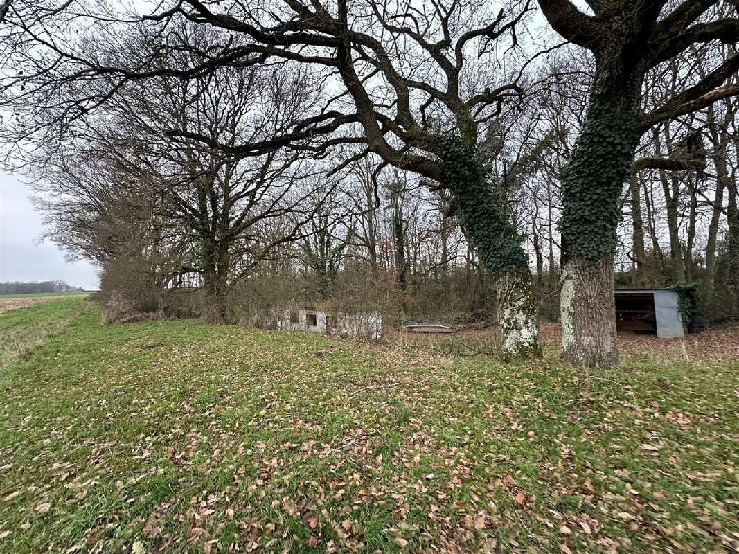 Maison à CHATEAUNEUF-EN-THYMERAIS