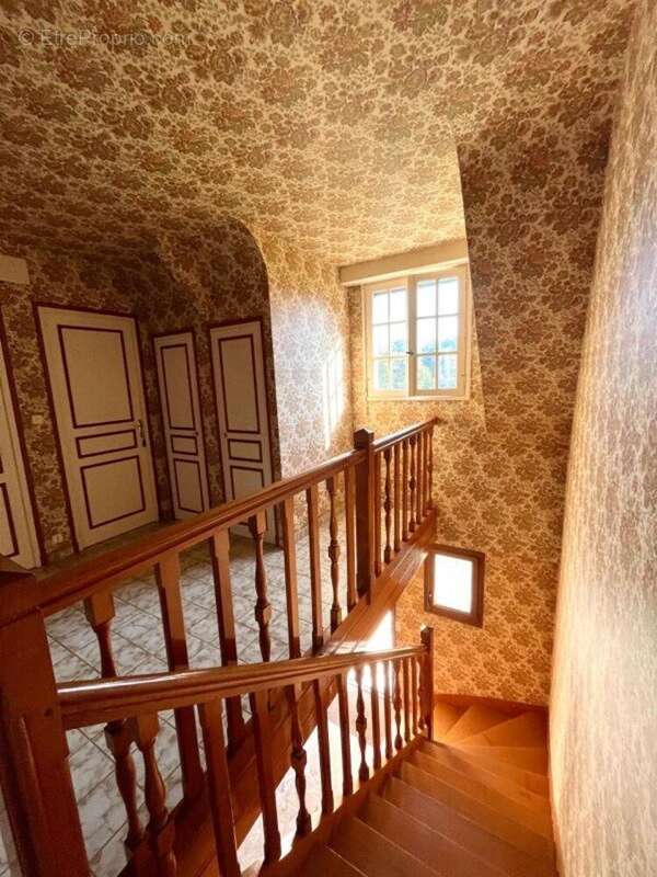 Photo 5 - Maison à FEREL