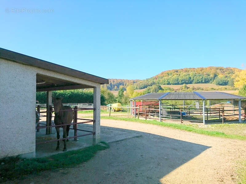 Maison à VARNEVILLE