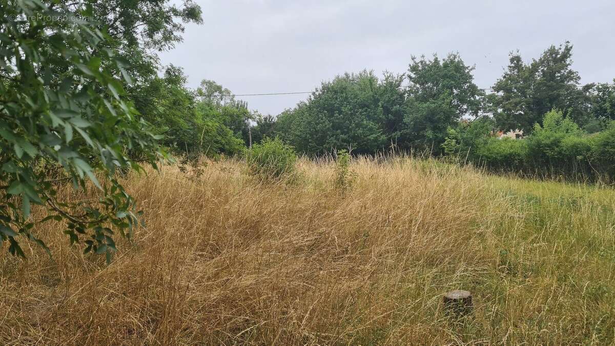 Terrain vue Touvre - photo 2
