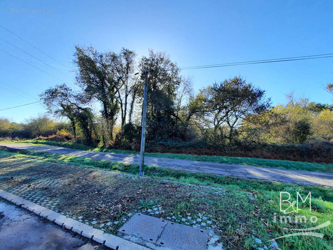 Terrain à SAINT-VINCENT-DE-TYROSSE