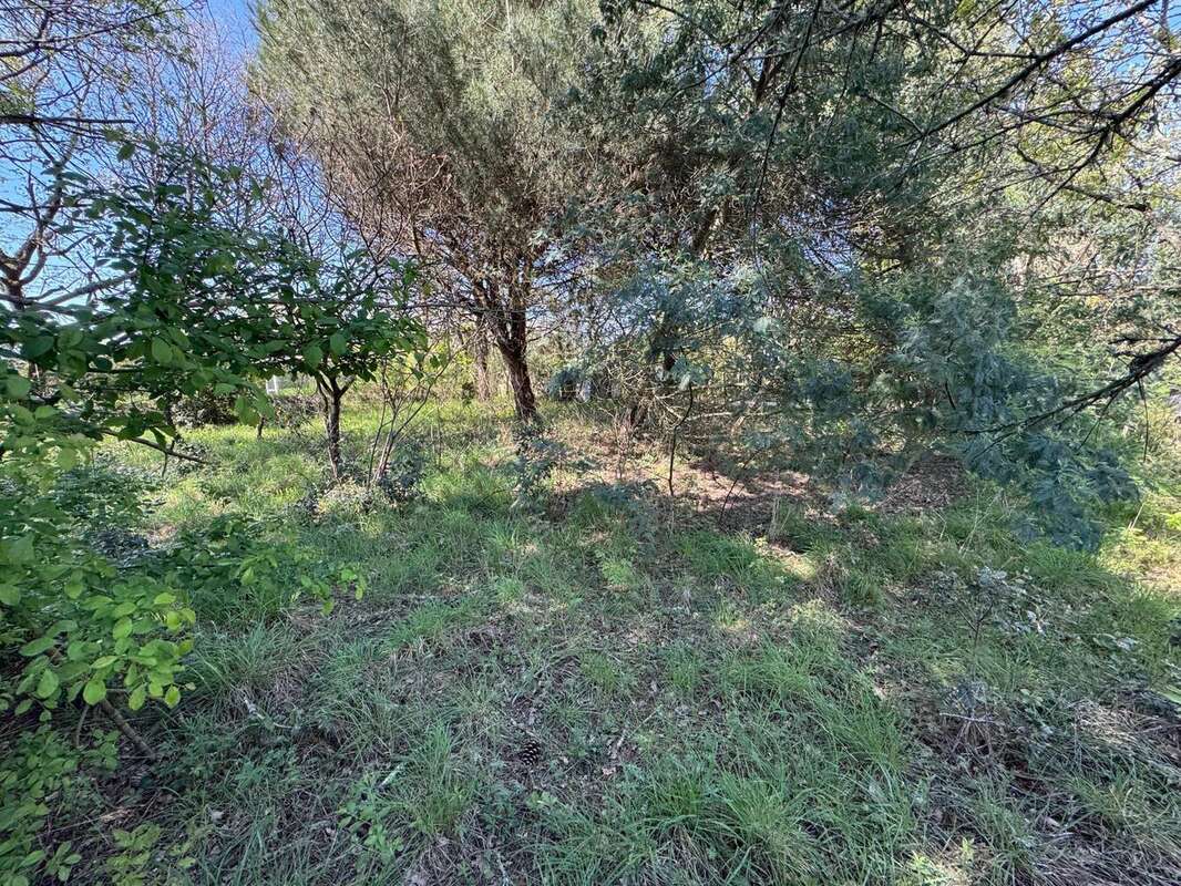 Photo 5 - Terrain à CHATEAU-D&#039;OLONNE