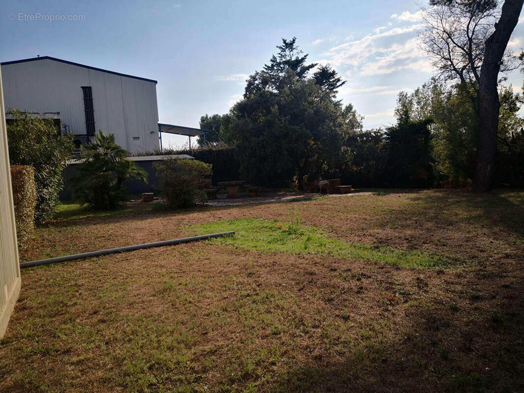 Commerce à ROQUEBRUNE-SUR-ARGENS