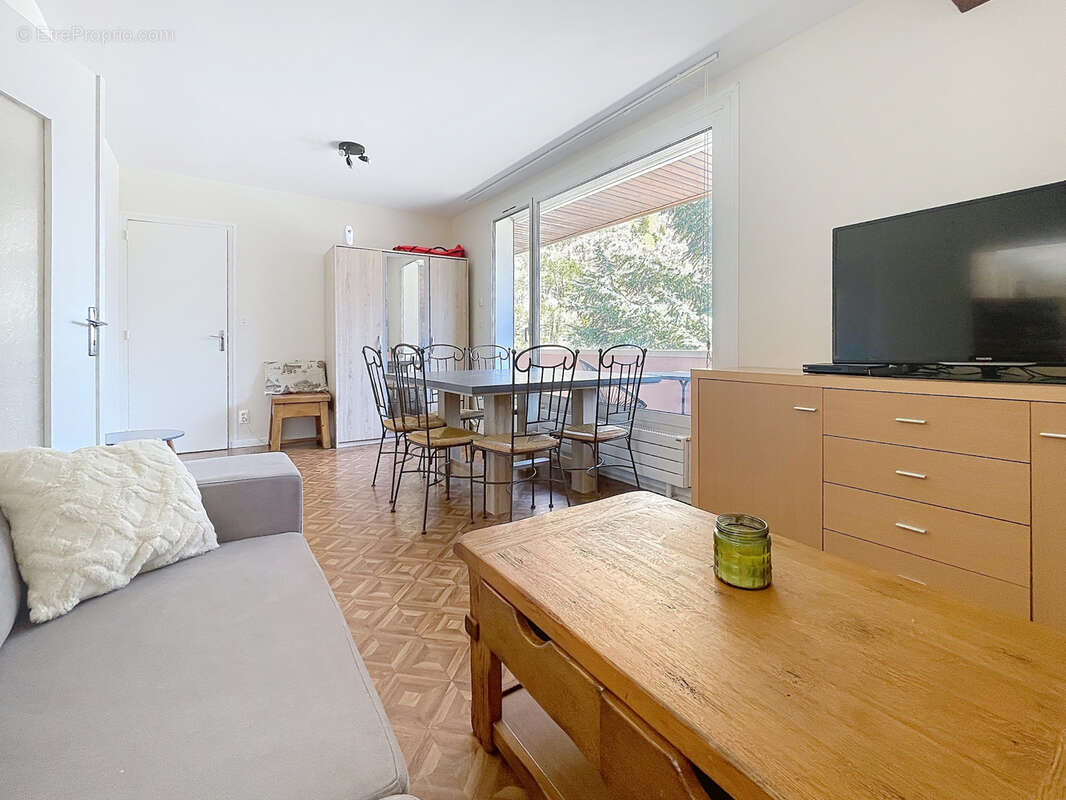 Appartement à SEYTHENEX