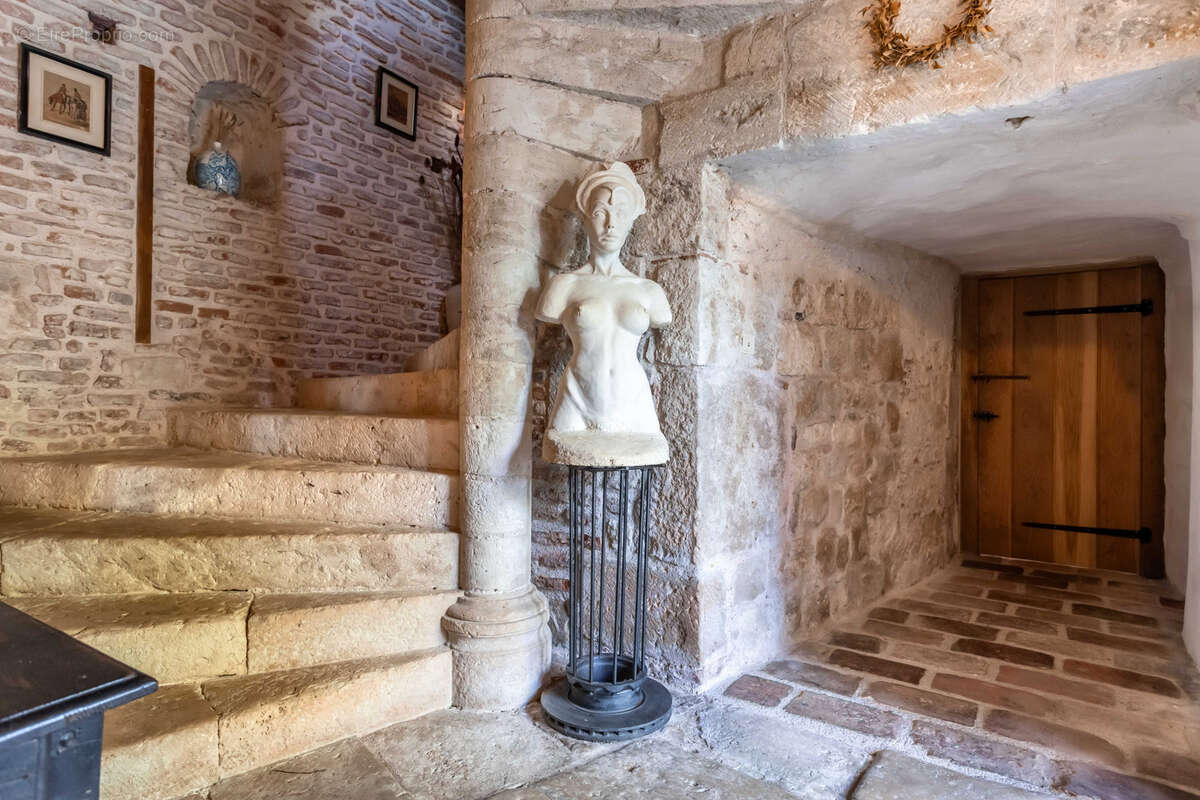 Château de luxe familial avec installations pour événements - photo 45