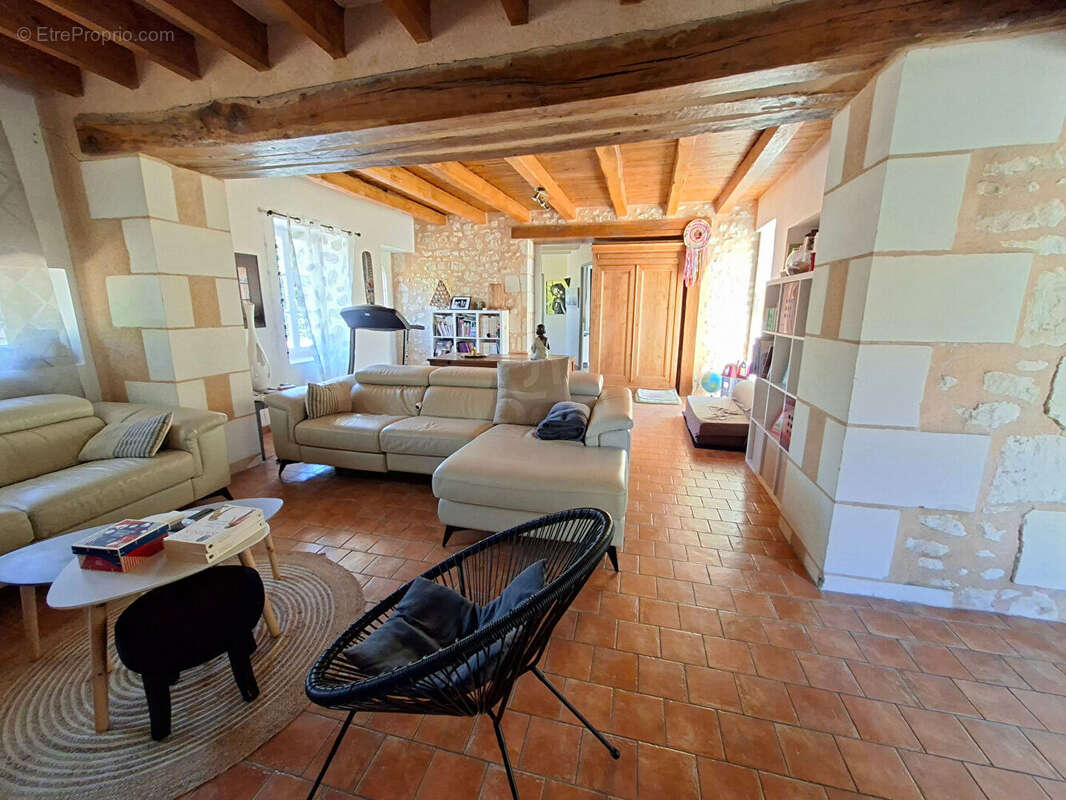 Maison 210m² à antogny-le-tillac - photo 8