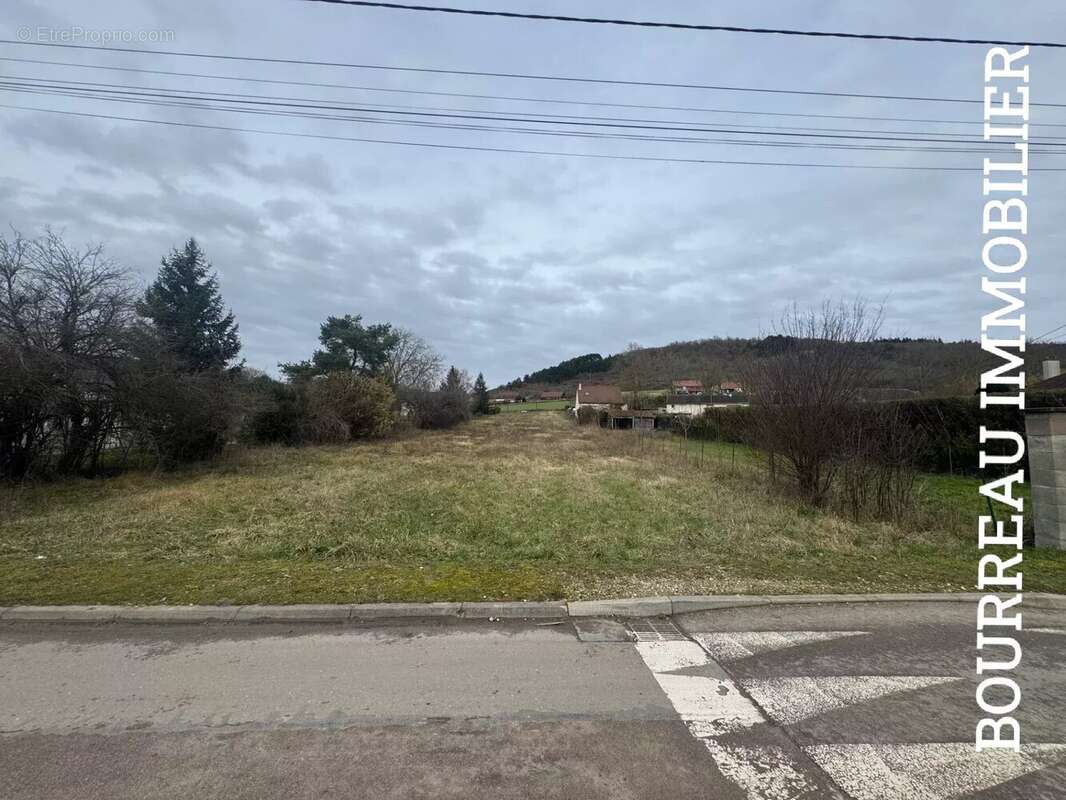 Terrain à SAINT-AUBIN-SUR-YONNE