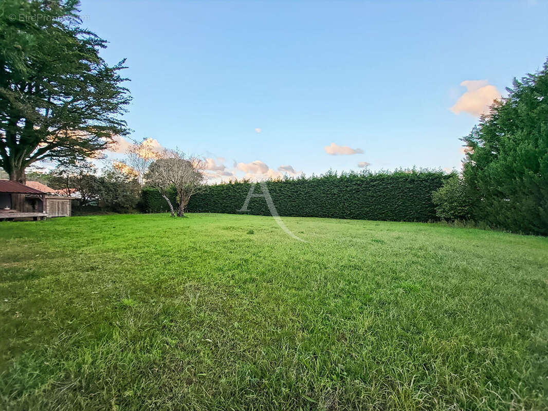 Terrain à LA BARRE-DE-MONTS