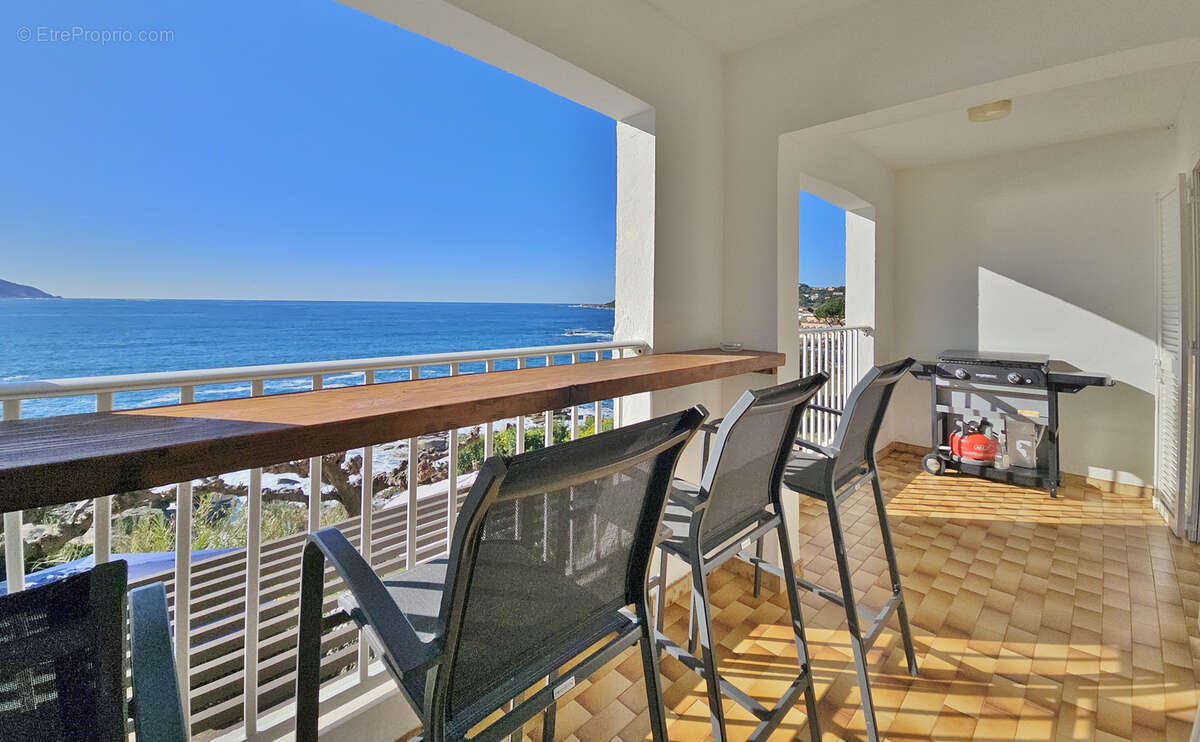 30 minutes d'AJACCIO - Immeuble de 6 appartements pieds dans l'eau - photo 20