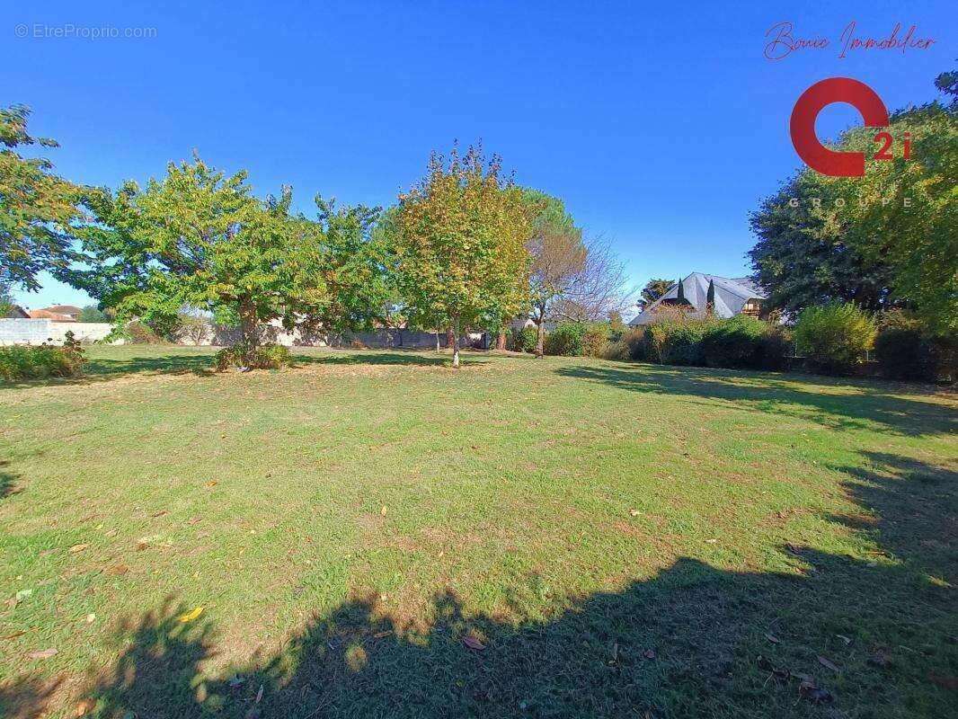 Terrain à BORDERES-SUR-L&#039;ECHEZ