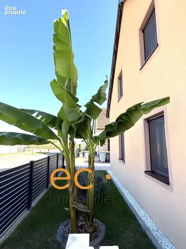 Matzenheim – maison individuelle de 2023 – 130 m² – 5 chambres - photo 28