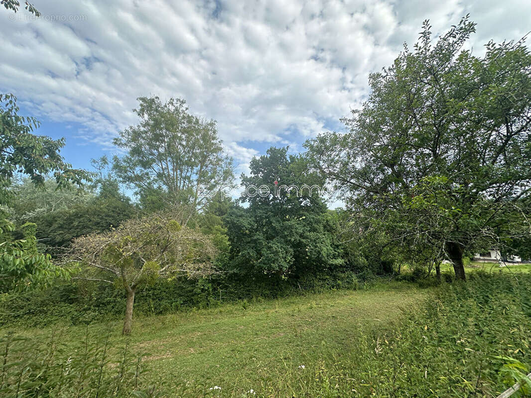 Maison à QUINCAMPOIX