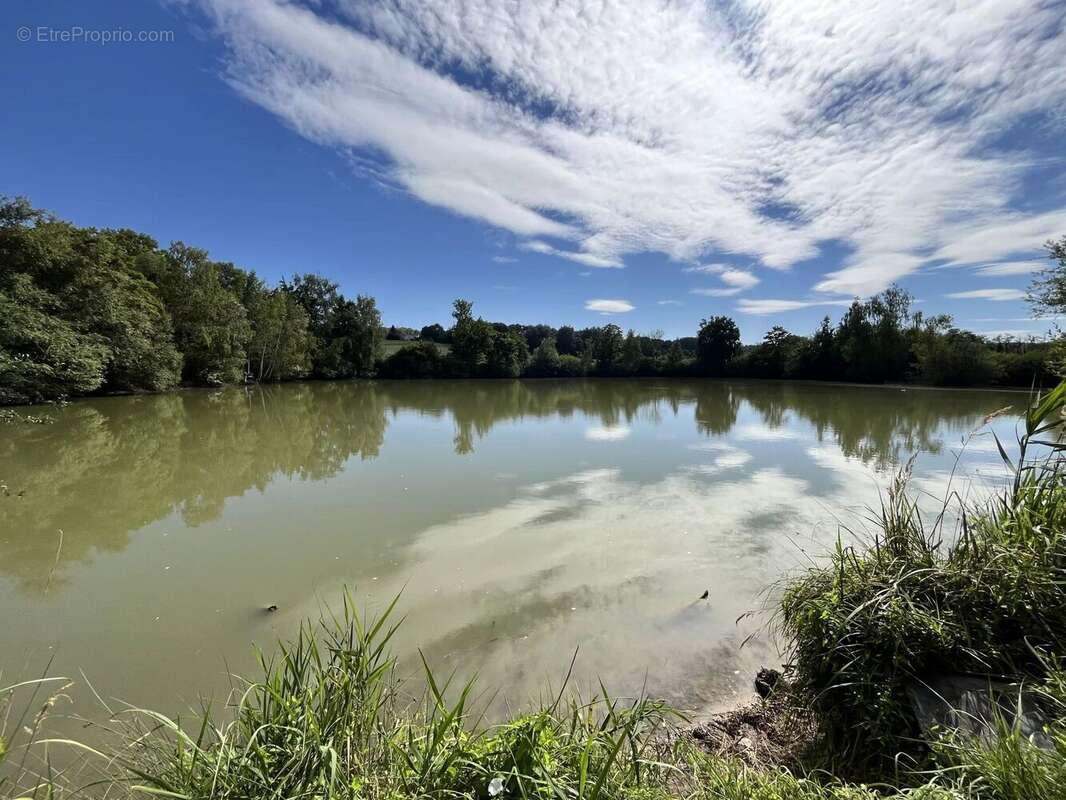 Terrain à FISMES