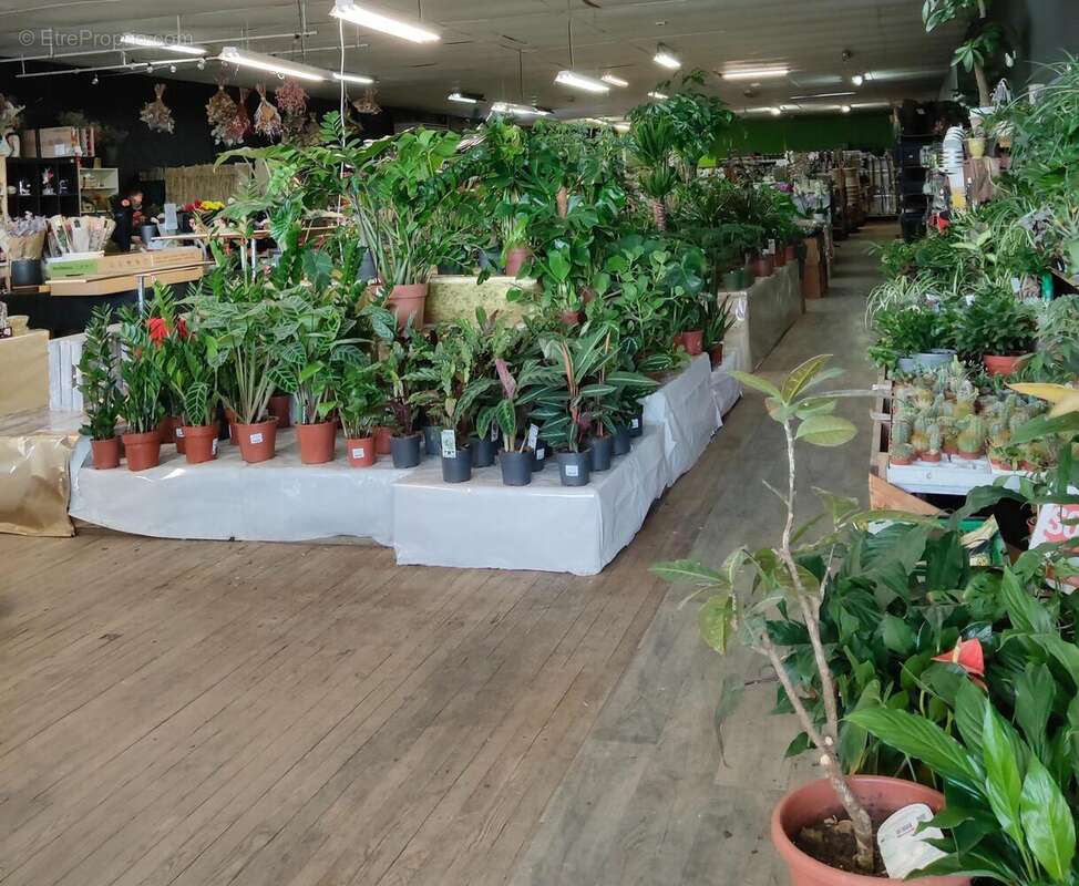 Photo 2 - Commerce à ORANGE