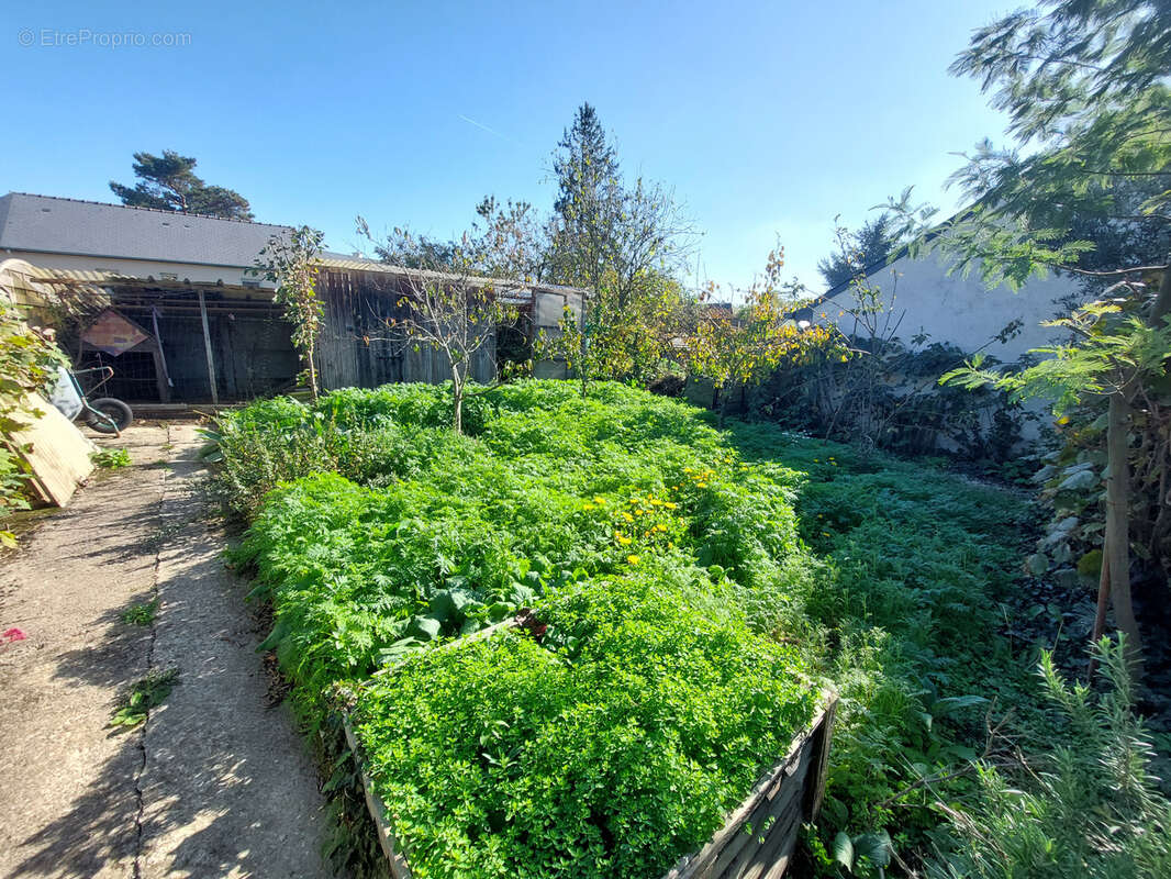 Maison à ARGENTRE-DU-PLESSIS