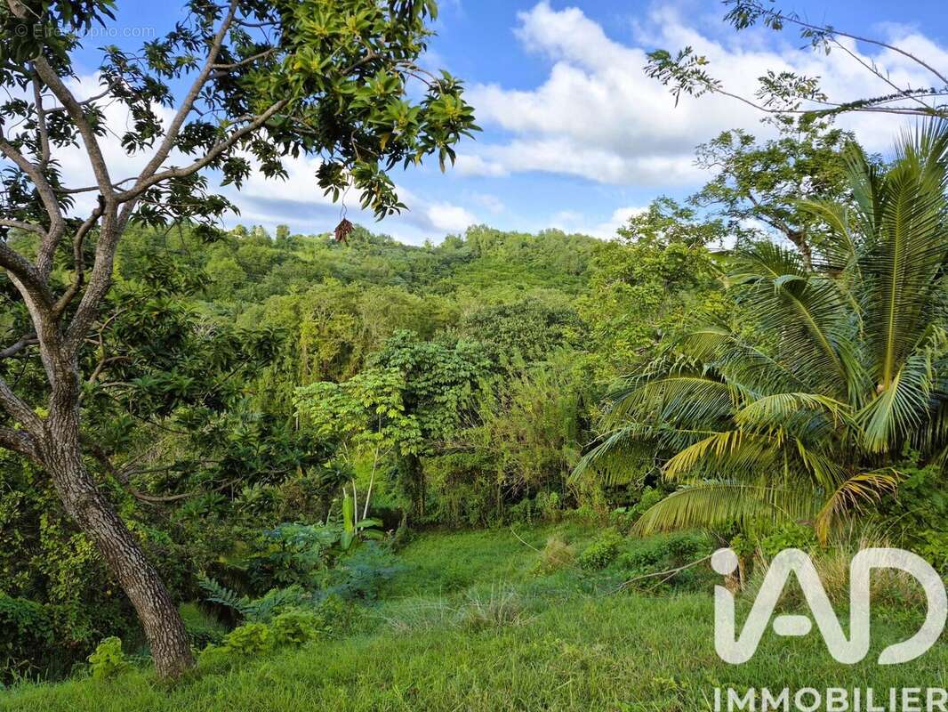 Photo 3 - Terrain à DUCOS