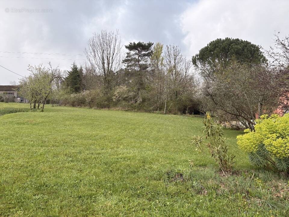 Terrain à CHATEAU-L'EVEQUE