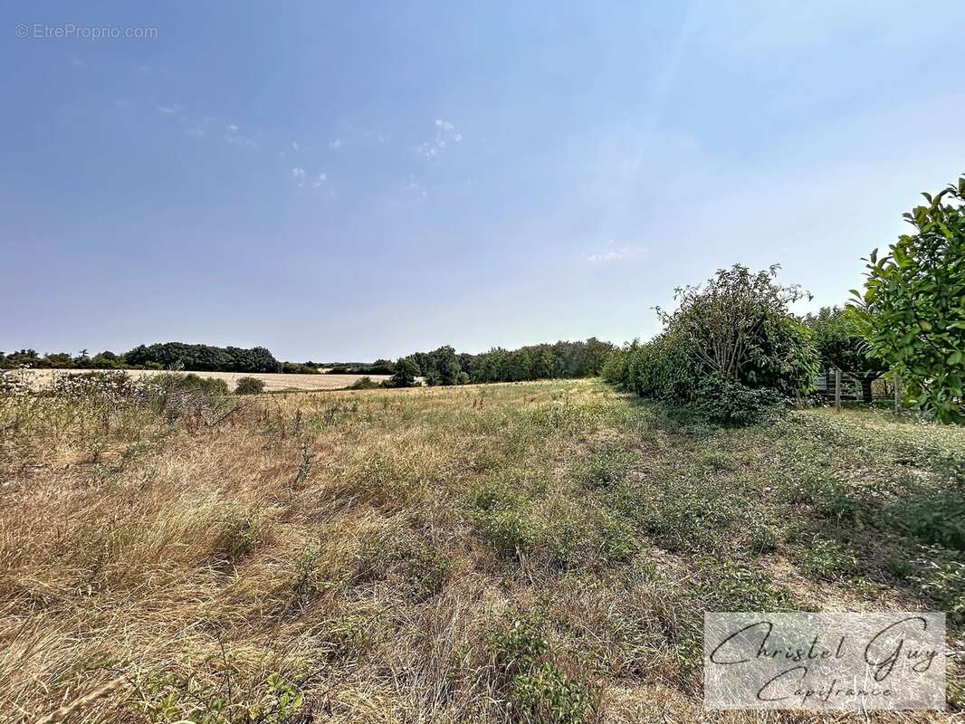 Sarthe (72), Propriété à vendre sur plus de 4 hectares, habitation et nombreuses dépendances et espaces de stockage, fort potent - photo 3