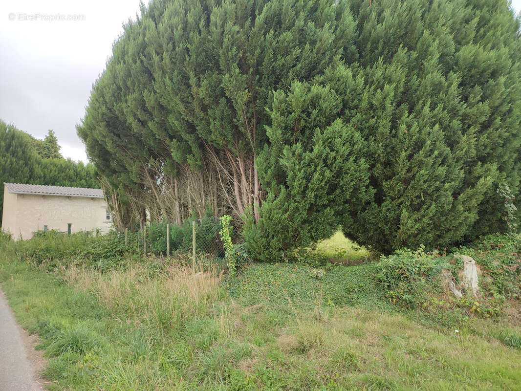 Terrain à LANRELAS