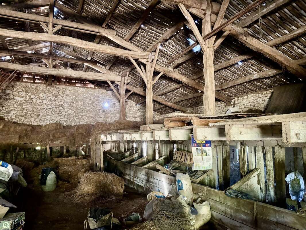 Maison à VILLENEUVE-SUR-LOT