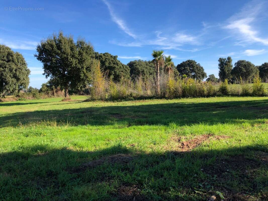 Terrain à SAINT-AUBIN-DE-MEDOC