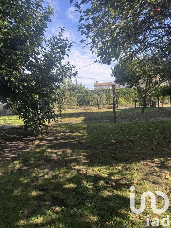 Photo 2 - Maison à BAZAS