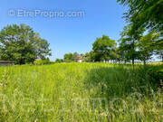 Terrain à CUQ-TOULZA