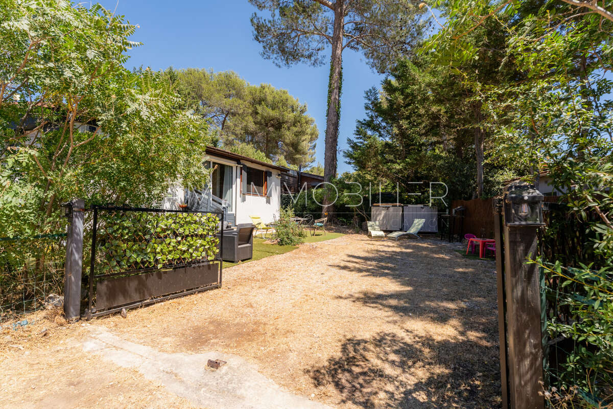 Sous les pins - photo 4